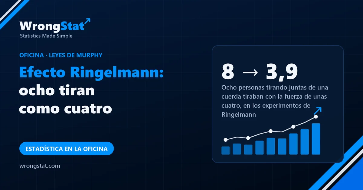 8 → 3,9: Ocho personas tirando juntas de una cuerda tiraban con la fuerza de unas cuatro, en los experimentos de Ringelmann